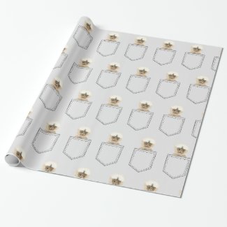 Pocket Monkey Art