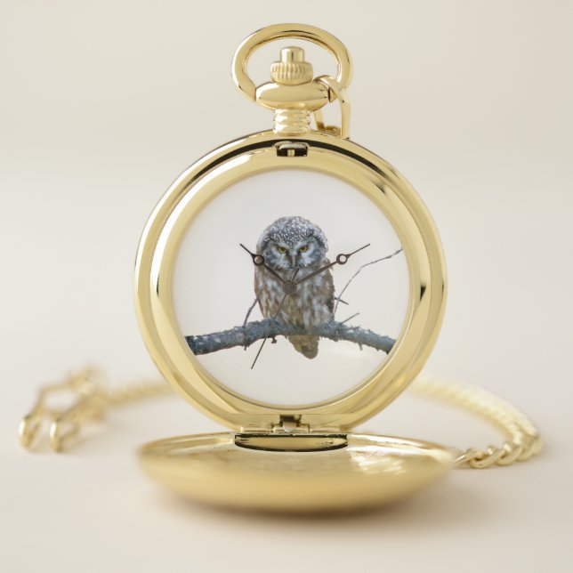 Pocket Watch w/ owl (Inside)