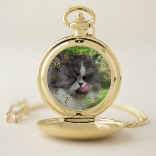 Pocket, Watches, funny persian cat Pocket Watch