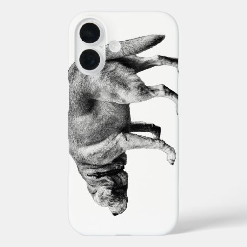 Pockets, Keys, Trusted Nose iPhone 16 Case