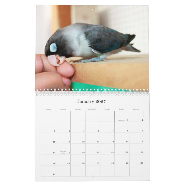 Pocky lovebird sweet memory calendar (Jan 2027)