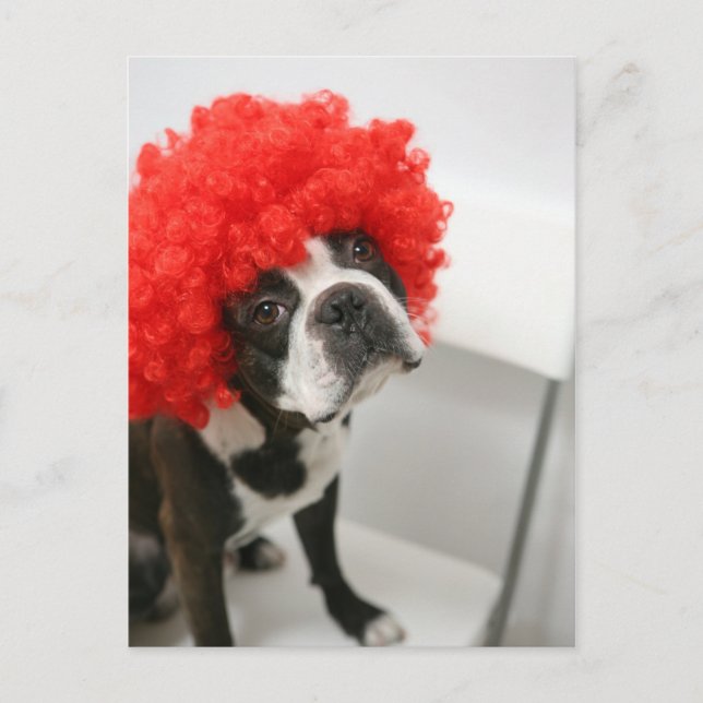 Pocky Postcards (Front)