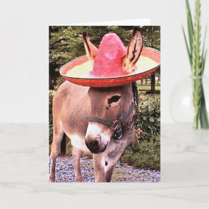 Poco Card