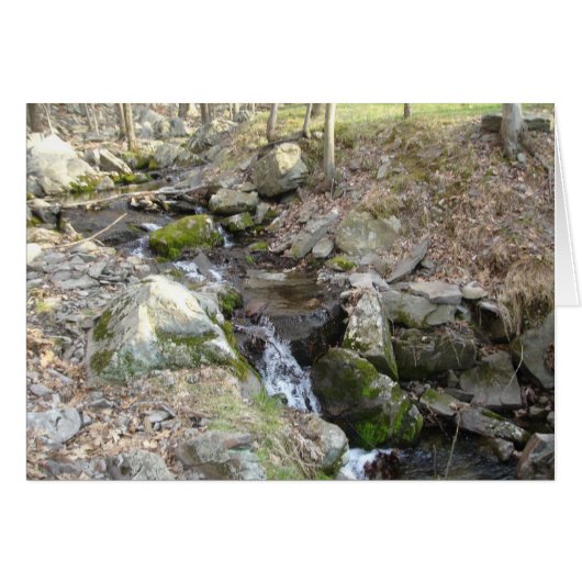 Poconos Pennsylvania Cards (Front Horizontal)