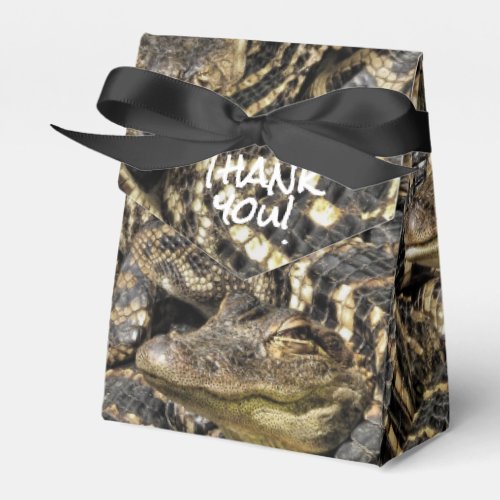 Pod of Baby Gators Abstract Animal Photography Favor Boxes