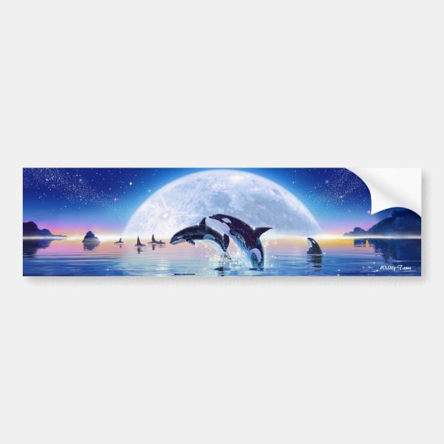 Pod of Orcas Bumper Sticker (Front)