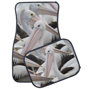 Pod of Pelicans Car Floor Mat
