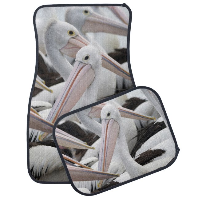 Pod of Pelicans Car Floor Mat (Set)