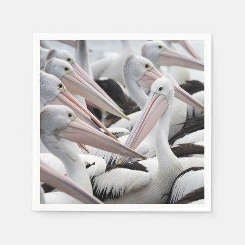 Pod of Pelicans Napkins