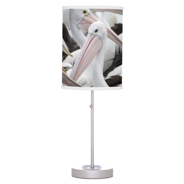 Pod of Pelicans Table Lamp (Front)