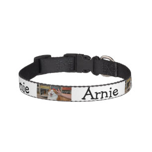 Podgy Scarlett Pet Collar