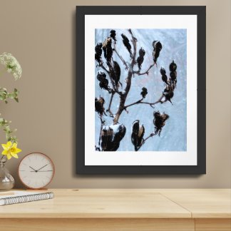 Pods Framed Art