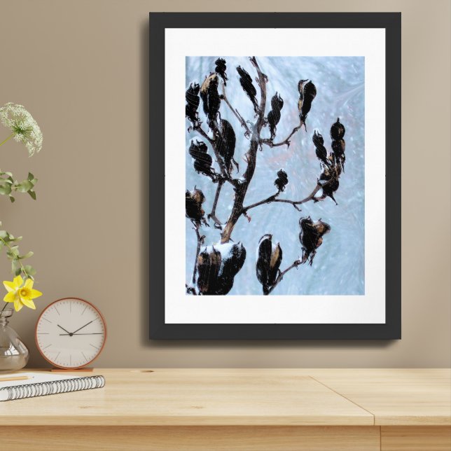 Pods Framed Art (Table Top)