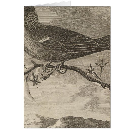 Poebird, New Zealand Cards (Front)