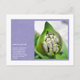 Poem for a new Life Postcard