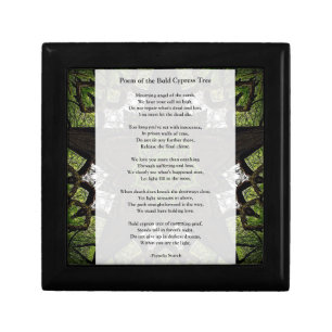Poem of the Bald Cypress Tree by Pamela Storch Gift Box