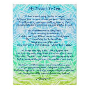 Poem: Tribute to a Deceased Pet PBY Poster Faux Canvas Print