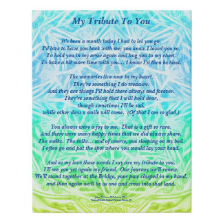 Poem: Tribute to a Deceased Pet PBY Poster Faux Canvas Print