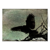 Poe's Raven (Front Horizontal)