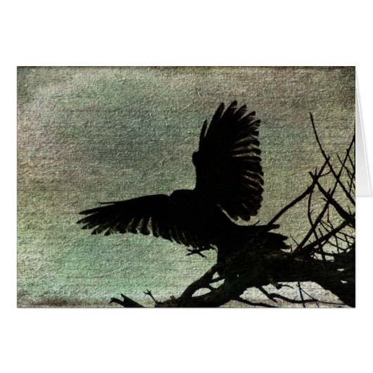Poe's Raven Cards (Front Horizontal)