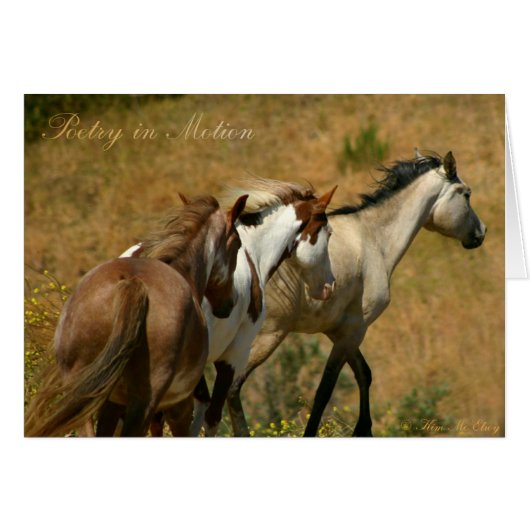 Poetry in Motion ~ Wild Mares Cards (Front Horizontal)