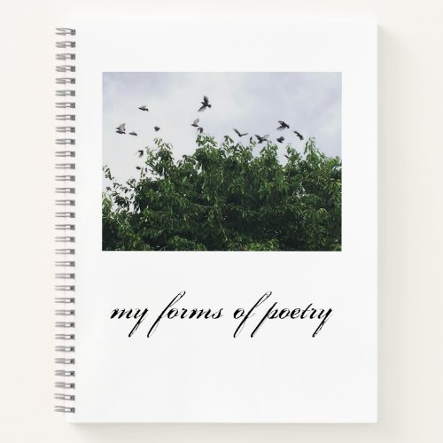 poetry notebook