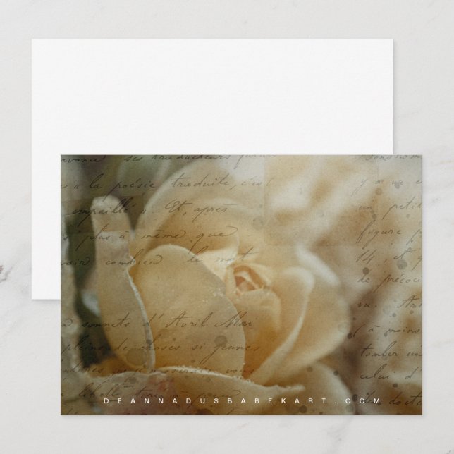 Poetry of Roses Collection Note Card (Front/Back)