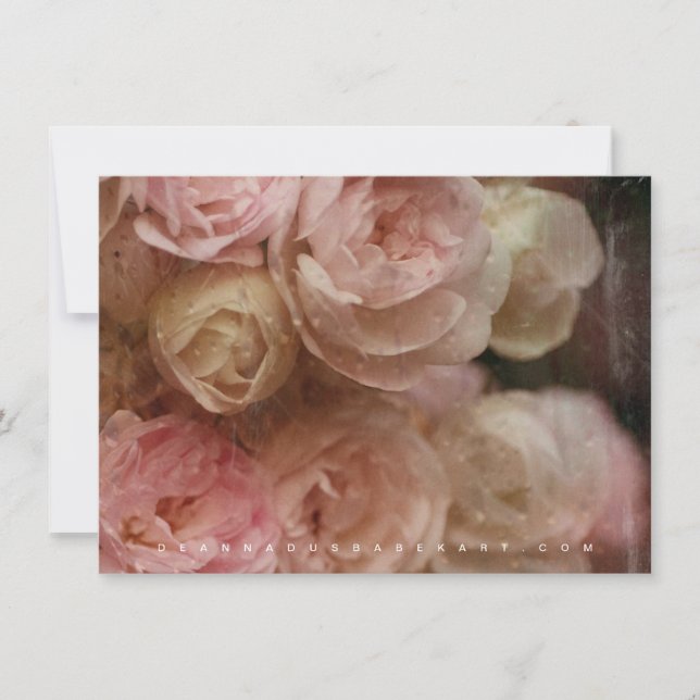 Poetry of Roses Collection Note Card (Front)