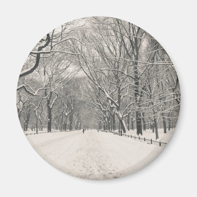 Poet's Walk - Central Park Winter Magnet (Front)