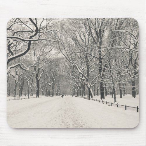 Poets Walk _ Central Park Winter Mouse Pad