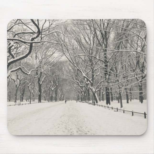 Poet's Walk - Central Park Winter Mouse Pad (Front)