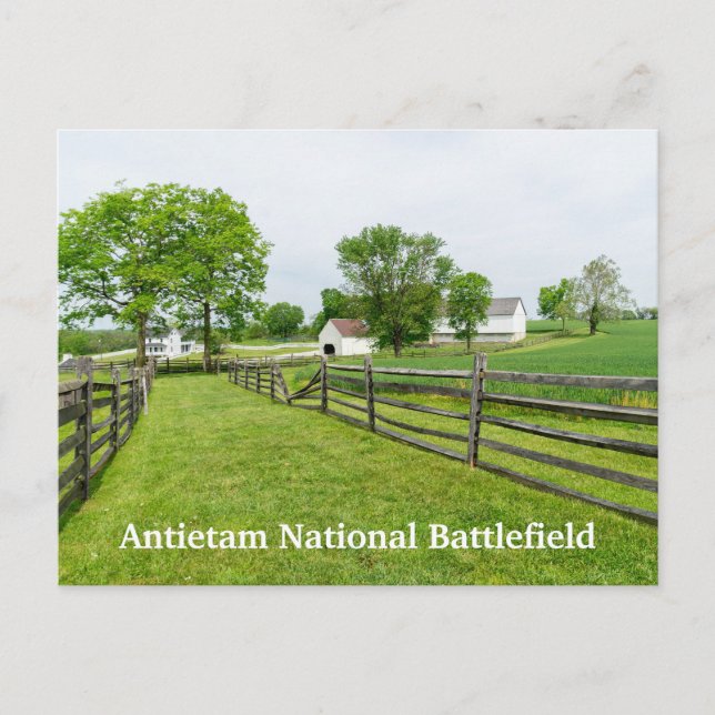 Poffenberger Farm in Antietam Postcard (Front)