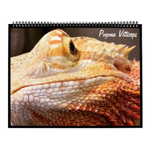 Pogona Vitticeps Bearded Dragon Calendar