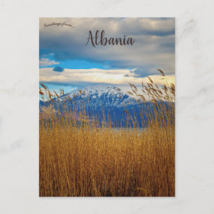 Pogradec Korçë County Albania Postcard