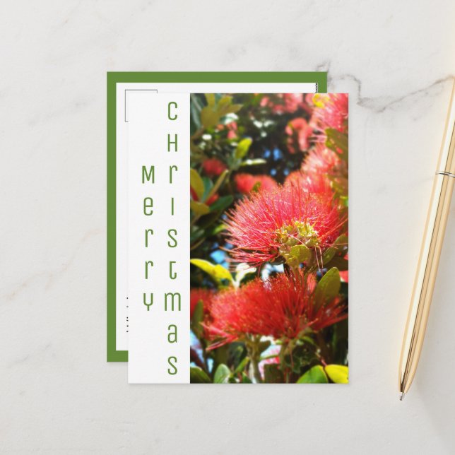 POHUTUKAWA CHRISTMAS FLOWER HOLIDAY COMPANY LOGO (Front/Back In Situ)