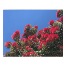 Pohutukawa Faux Canvas Print