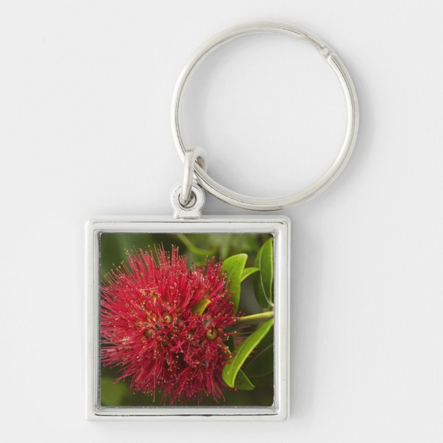 Pohutukawa Flower, Dunedin Keychain (Front)