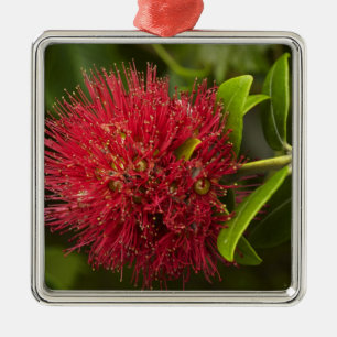 Pohutukawa Flower, Dunedin Metal Ornament