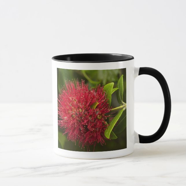 Pohutukawa Flower, Dunedin Mug (Right)
