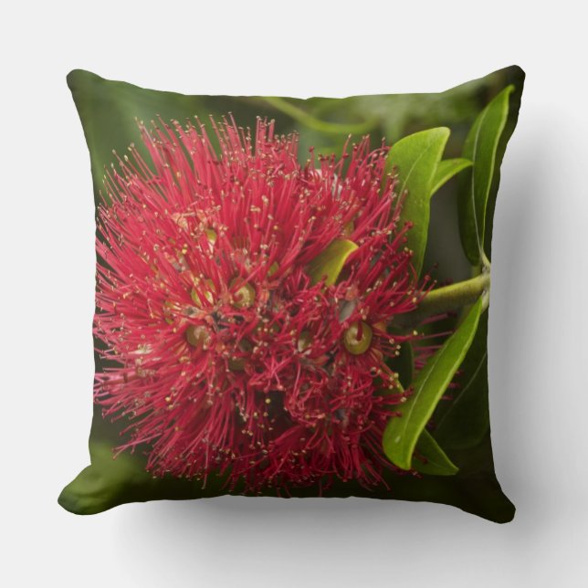 Pohutukawa Flower, Dunedin Throw Pillow (Front)
