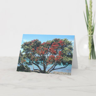 Pohutukawa tree on beach (NZ Christmas Tree) Holiday Card