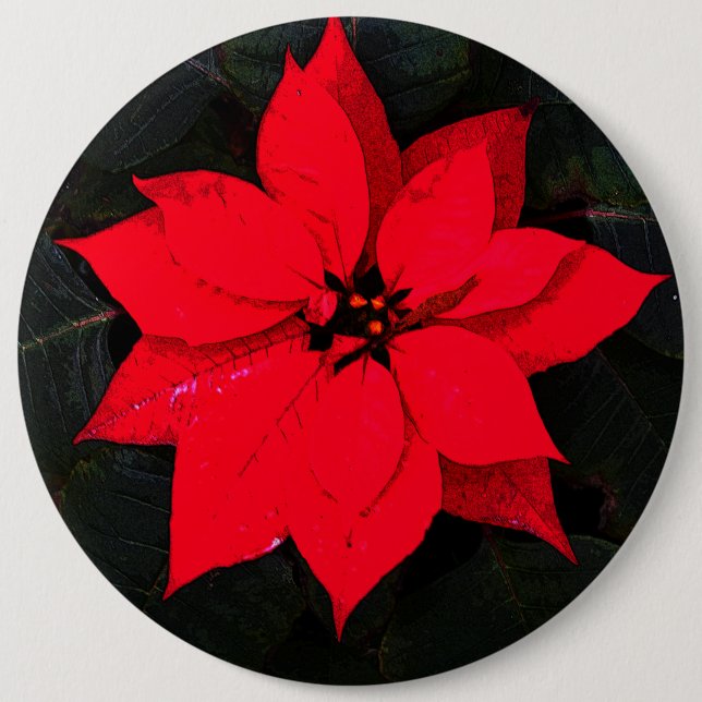 Poinsettia 6078 button (Front)