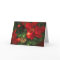 Poinsettia Beauty