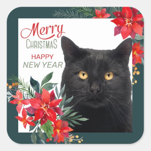 Poinsettia Border Black Cat Christmas Square Sticker