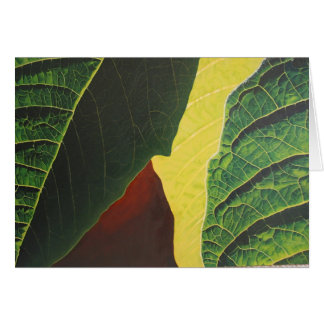 Poinsettia Cards