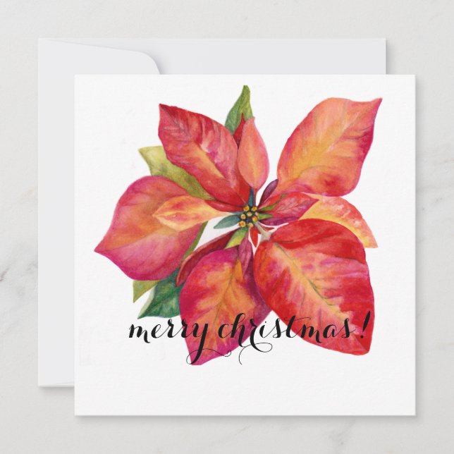 Poinsettia Christmas Card (Front)