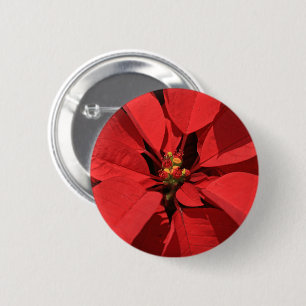  Poinsettia Christmas Flower   Add Your Text Button