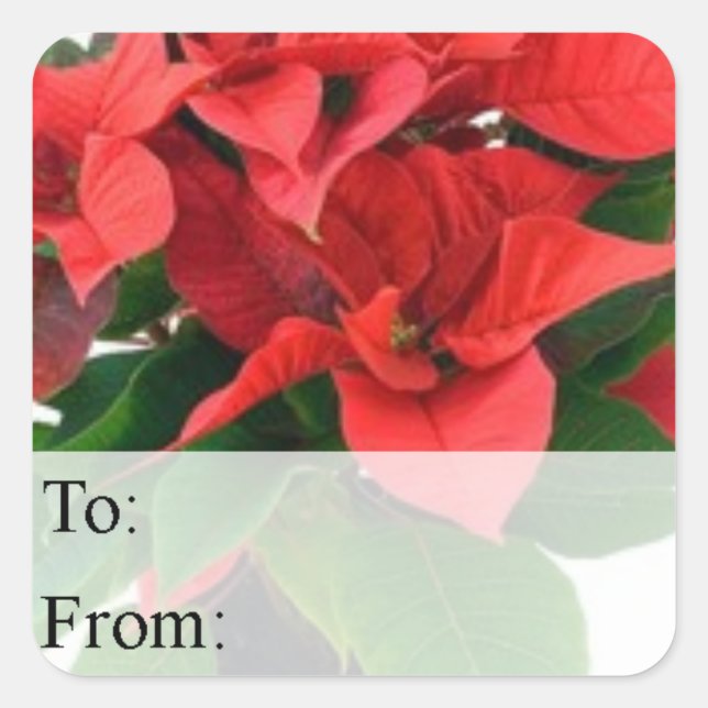 Poinsettia Christmas Gift Tag (Front)