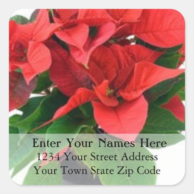 Poinsettia Christmas Return Address Label (Front)