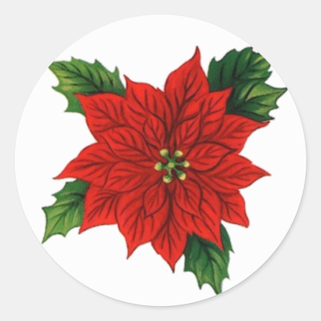 Poinsettia Classic Round Sticker (Front)